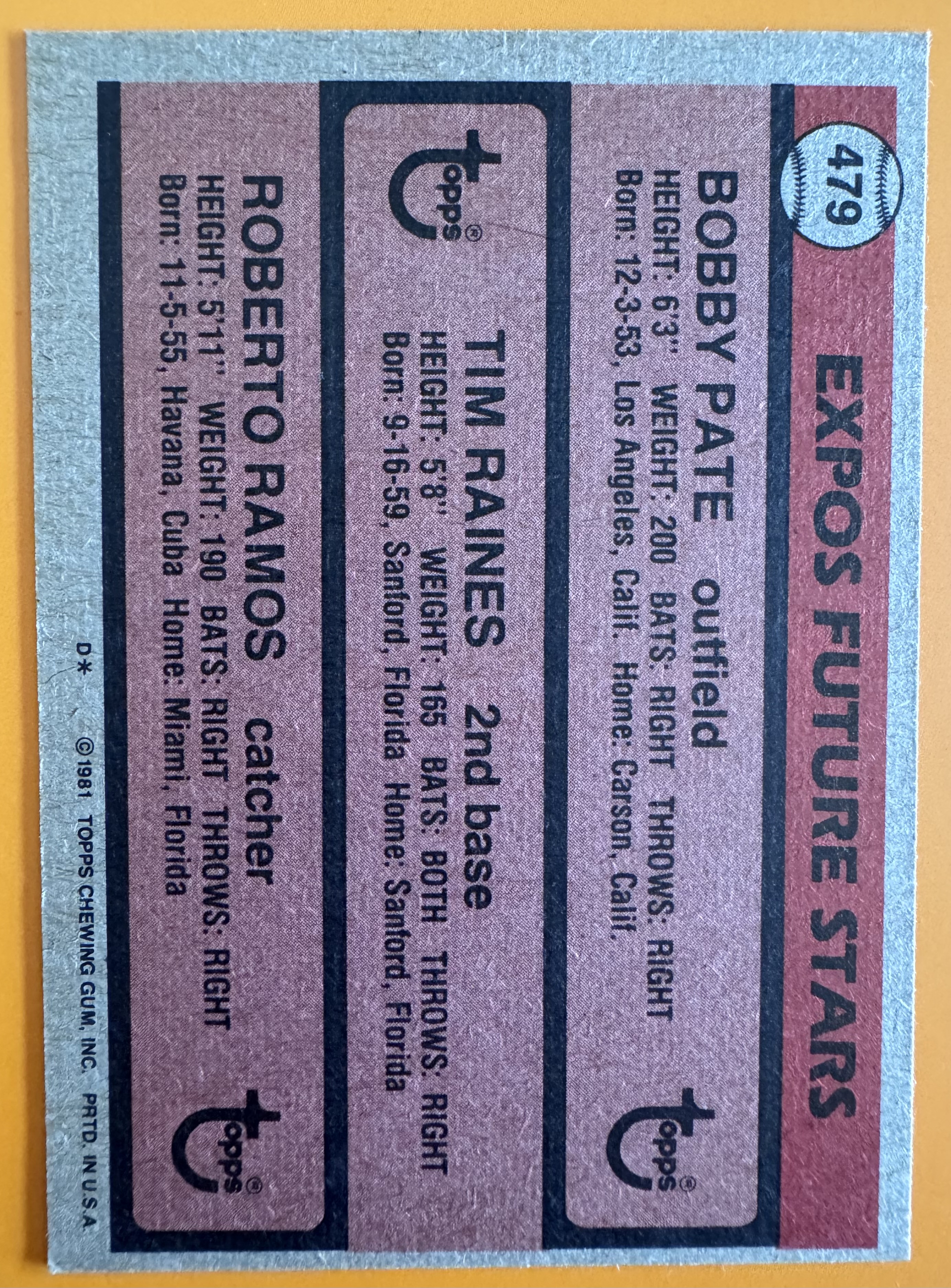 1980 Topps Tim Raines back